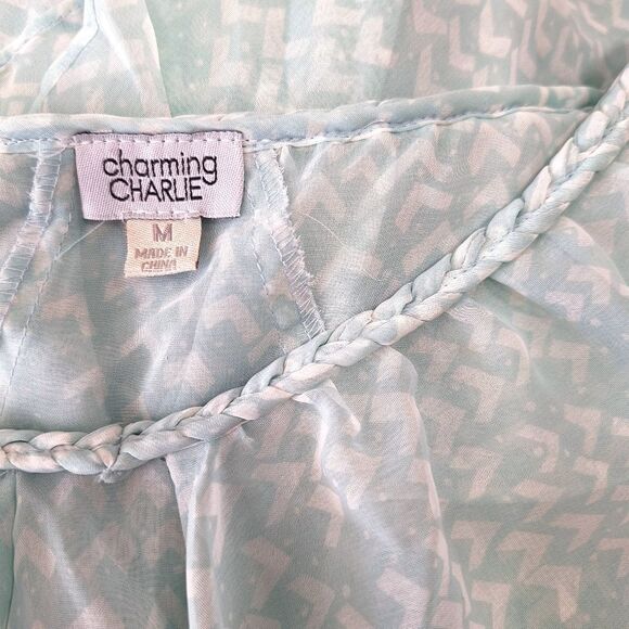 Charming Charlie Sheer Ruffled Blouse with Flutter Sleeves Sz M - Picture 6 of 12